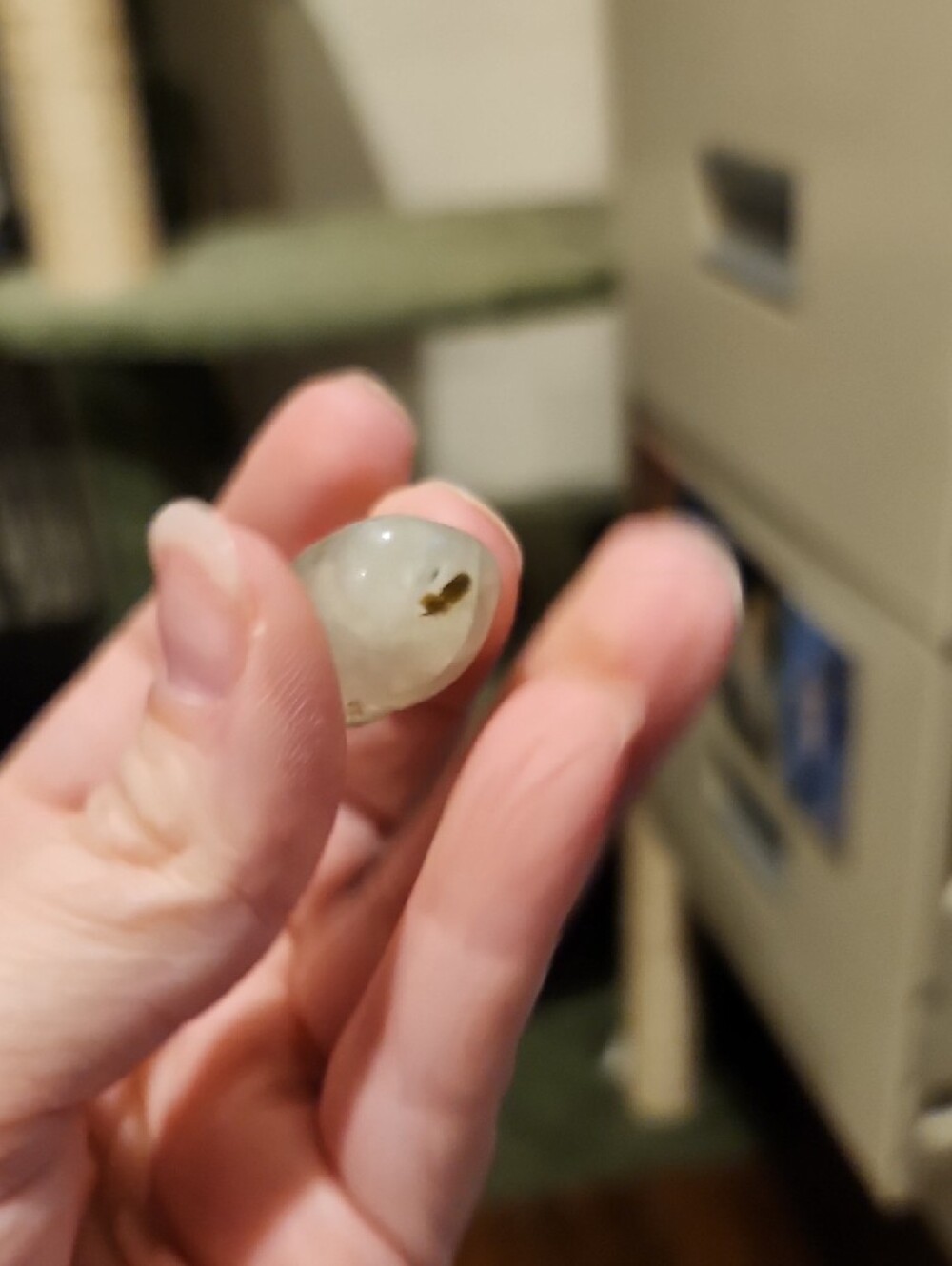 Tumbled Pale Green Prehnite with Tourmaline and Small Epidot Inclusions Pendant - Picture 5 of 7